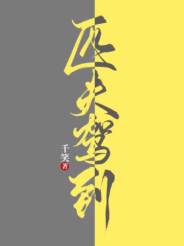 匹夫驾到讲了什么