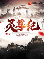 灵尊打怪技能选择