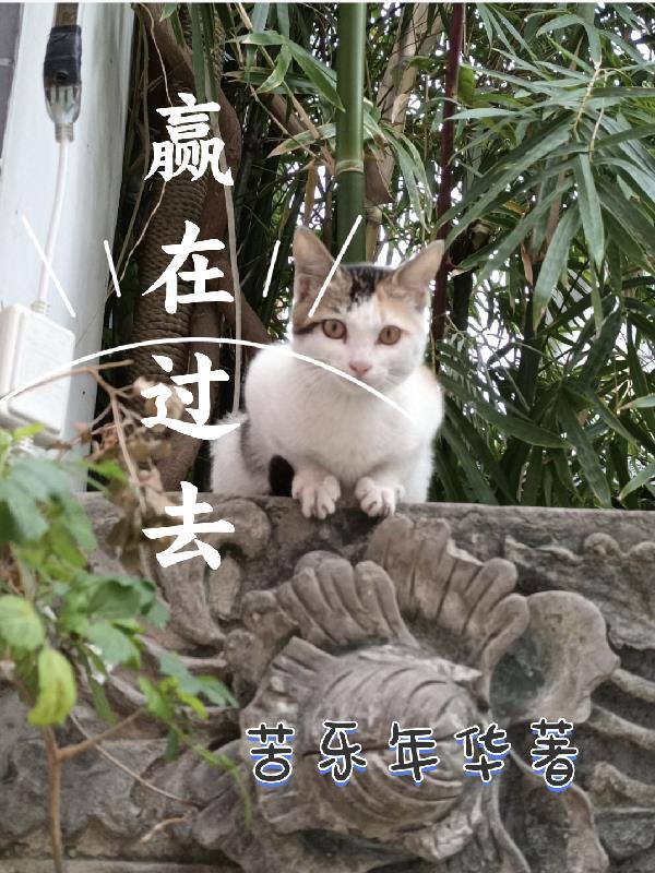 赢在中国李宗恩现状